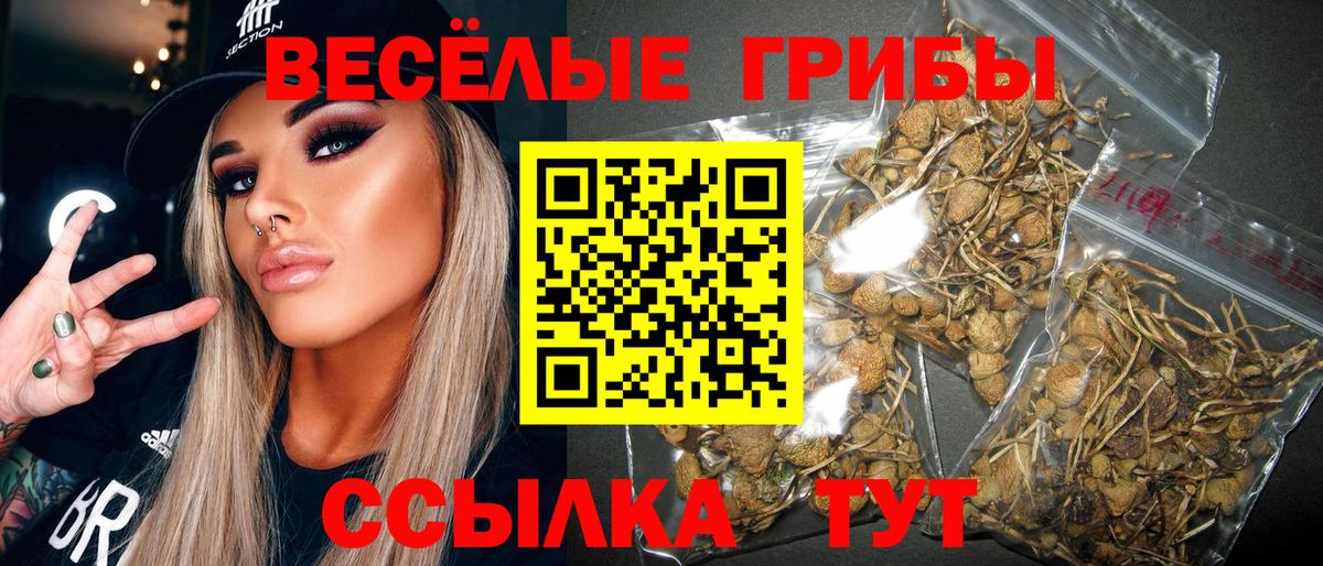 Галлюциногенные грибы GOLDEN TEACHER  Уссурийск  Псилоцибиновые грибы MAGIC MUSHROOMS 